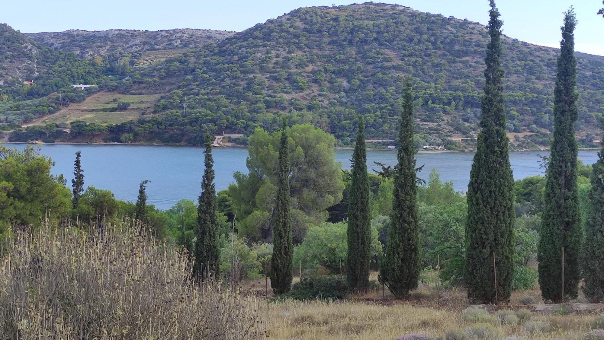 Urbi Garden Διαμέρισμα Αρτέμιδα Εξωτερικό φωτογραφία